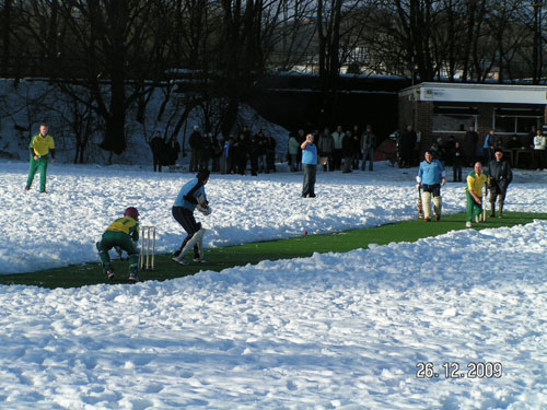 Snow at the Meadows