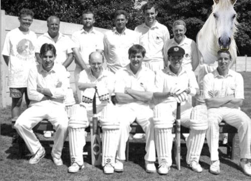 Horse team photo
